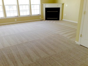 Carpet Cleaning Assonet Ma 02702